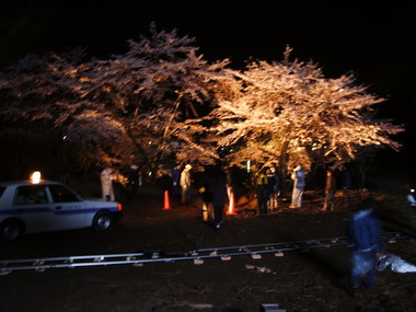 妖しく咲いた桜の下での撮影 妖しく咲いた桜の下での撮影